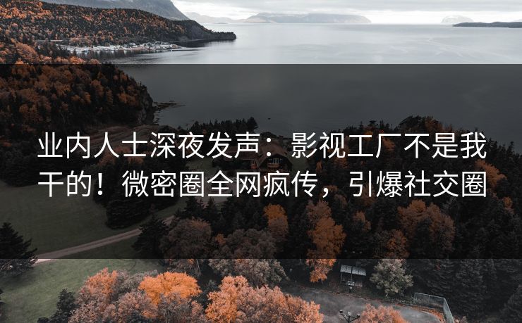 业内人士深夜发声：影视工厂不是我干的！微密圈全网疯传，引爆社交圈