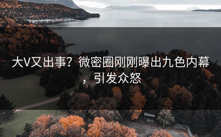 大V又出事？微密圈刚刚曝出九色内幕，引发众怒