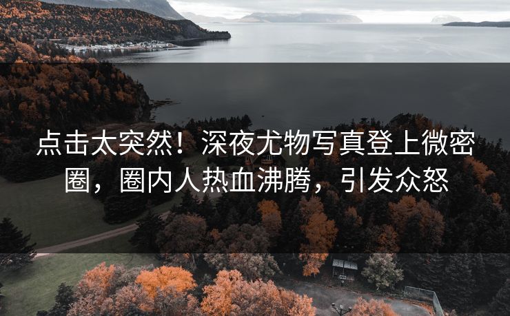 点击太突然！深夜尤物写真登上微密圈，圈内人热血沸腾，引发众怒