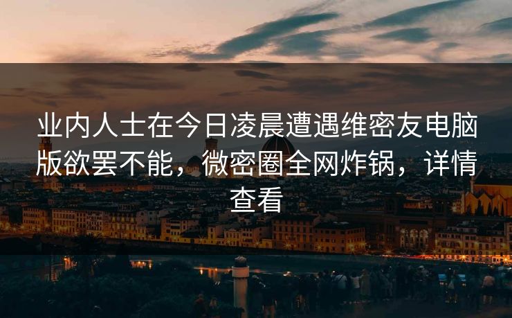 业内人士在今日凌晨遭遇维密友电脑版欲罢不能，微密圈全网炸锅，详情查看